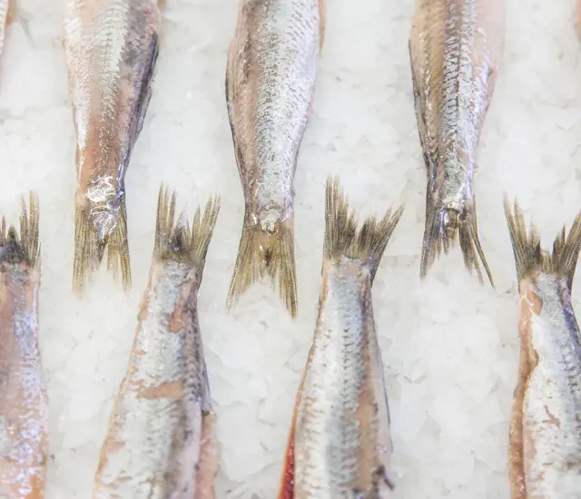 Fullres Den Dulk 0091