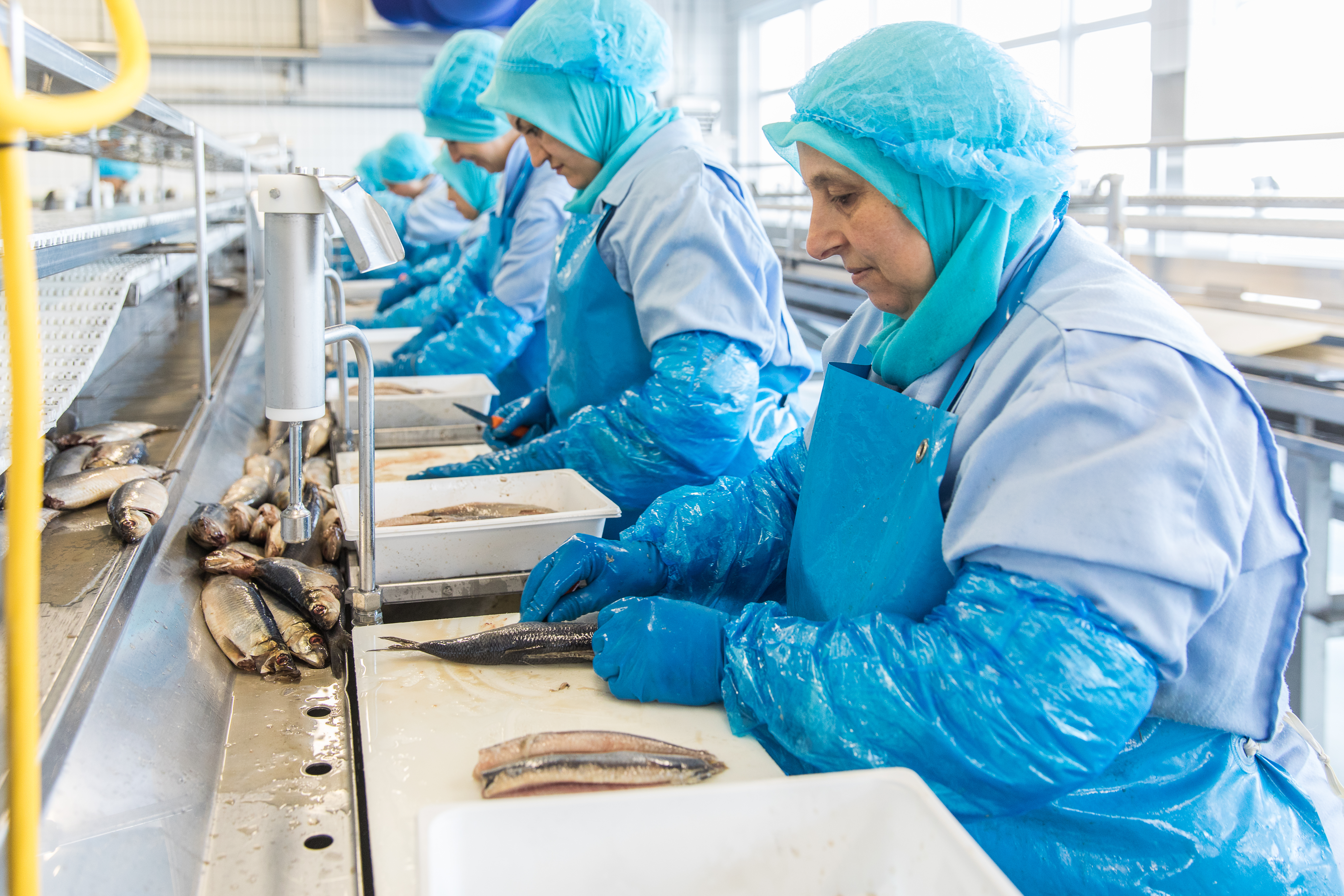 Fullres Den Dulk 0012