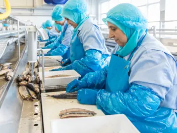 Fullres Den Dulk 0012