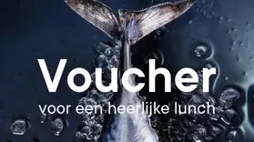 Dulk Voucher Digi