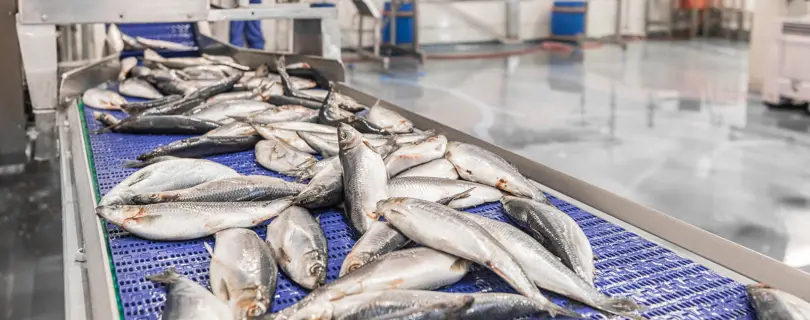 Fullres Den Dulk 0047